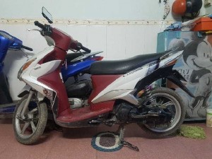 Cần đổi xe nên bán