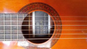 Guitar classic suzuki