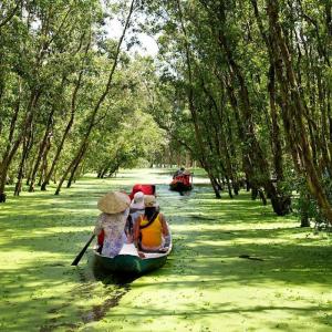 Tour Bà Lụa - Rừng Tràm Trà Sư 2n2d