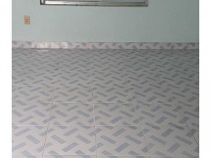 Nhà đường xe hơi. Có lửng dt 54m 3pn nam