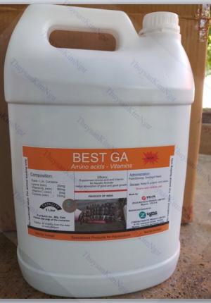 Kim Ngư phân phối bổ gan thảo dược Best ga