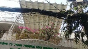Nguyên căn 4x25mLê Văn Sỹ, Tân Bình