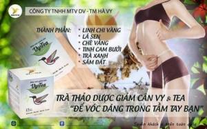 Trà thảo dược giảm cân vy & tea