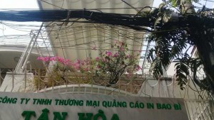 Cho thuê nhà 4x25m HXH đường Lê Văn Sỹ,