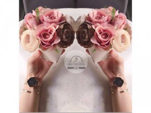 Đồng Hồ Nữ DW Classic Petite Melrose