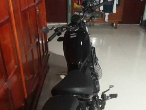 Rebel300