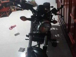 Rebel300