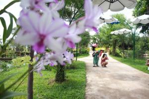 Suối Hoa Lan