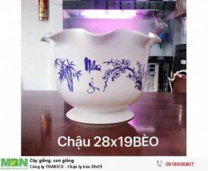 Chậu Nhựa THAKICO - Chậu ly bèo 28x19