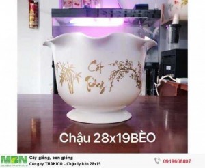 Chậu Nhựa THAKICO - Chậu ly bèo 28x19