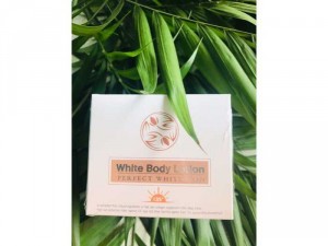 Kem body white Lotion ( tuyển ctv )