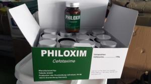 Philoxim
