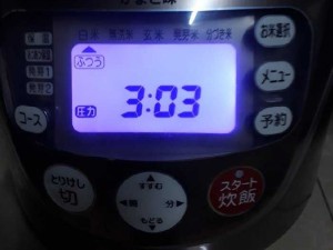 Nồi cơm sanyo màn hình led 1l 2010