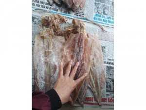Chuyên sỉ lẻ mực khô