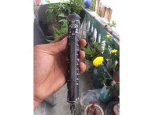 Cần bán cân xưa