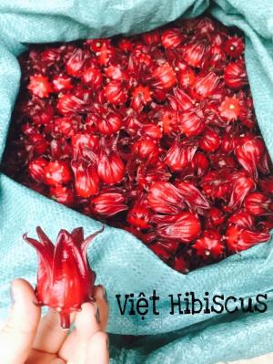 💥VIỆT HIBISCUS - CUNG CẤP CÁC LOẠI SẢN PHẨM TỪ HOA ATISO ĐỎ💥
️🌳GIẢI NHIỆT 🌳LÀM ĐẸP 🌳 CHĂM SÓC SỨC KHỎE
1. Hoa Atiso đỏ tươi (Hay còn gọi bụp giấm, hibiscus)
2. Siro kèm mứt hoa Atiso đỏ
3. Trà khô Atiso đỏ loại nguyên bông có vị chua nhẹ
4. Trà khô Atiso đỏ loại cánh có vị chua nhiều
5. Mứt atiso đỏ sấy giòn
👉 Khách SỈ LẺ không hạn chế số lượng.
👉 Hàng có quanh năm đảm bảo chất lượng lâu dài
🌟🌟🌟 Công dụng
🌺 Giải nhiệt làm đẹp da,tăng cường khả năng hệ tiêu hóa,lợi tiểu.
🌺 Giảm nồng độ cholesterol,điều hòa huyết áp .
🌺 Trong hoa chứa Cynarin và Silymarin là 2 chất chống oxy hóa.Giàu vitamin C.
🌺 Ngăn ngừa bệnh tim mạch,tăng cường khả năng của gan. Đài hoa nhai ngậm trị bệnh viêm họng.
🌺 Có thể chế biến thành siro ,mứt hoặc gia vị cho các món kem bánh ngọt
🚗🚗🚗Hình thức vận chuyển:
☑️ Giao hàng tận nơi trên toàn quốc .
☑️ Nhưng đơn hàng sỉ có thể gửi xe khách để giảm bớt chi phí vận chuyển.
🌺 Mua càng nhiều giá càng ưu đãi nhé !
🌺 Khuyến khích những khách hàng mua số lượng lớn ,hợp tác kinh doanh.
Khu vực khác ib em tư vấn nhé . Đảm chất lượng luôn nha
👨💼MỌI CHI TIẾT XIN LIÊN HỆ :
▶️Việt Hibiscus
👉 Hotline: 0973 542 579 (Ms Châu)
🏤 Địa chỉ: 482/10/36/20 Nơ Trang Long, Phường 13, Quận Bình Thạnh
#Trà_Hibiscus #Hoaatisodo #Hoabupgiam #Hibiscus #Hoa_atiso_đỏ #Sỉ_atiso_đỏ #Trà_atiso #Trà_atiso_đỏ #Sỉ_trà_atiso_đỏ #Trà_bụp_giấm #Hoa_bụp_giấm #Hoa_atiso_đỏ_giá_rẻ #Siro #Caohuyetap #Mứt_atiso_đỏ