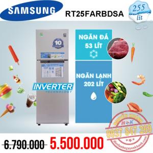 Tủ lạnh Samsung Inverter RT25FARBDSA 255 lít