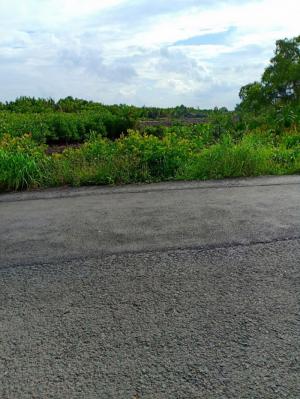 Cần bán đất mặt tiền An Thới Đông_Doi Lầu_Cần Giờ. Diện tích: 18000m2