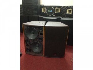 Đôi loa PDCJ nhập giá rẻ bass 25 chỉ có ở...