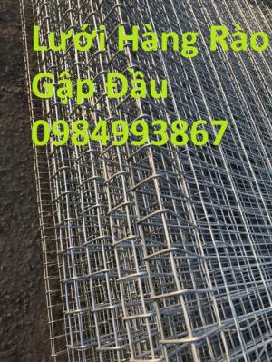 Lưới hàng rào ,phi 6 ô 75x200