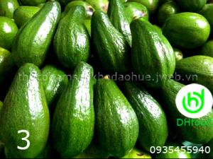 Sỉ lẻ bơ sáp, sầu riêng, chanh dây Đà Lạt