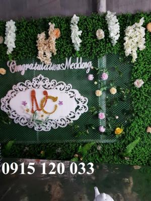 Làm khung, vách ngăn trang trí cây giả, logo,...