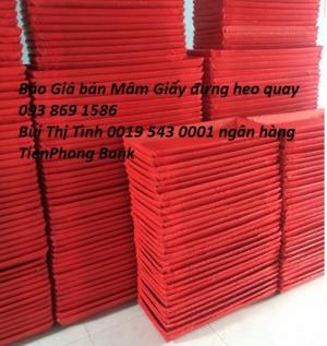 Xưởng Mâm heo quay, khay heo quay bằng giấy sử dụng một lần