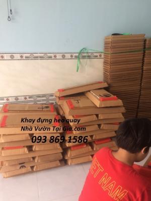 Xưởng Mâm heo quay, khay heo quay bằng giấy sử dụng một lần