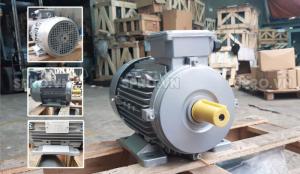 Địa chỉ mô tơ điện 3 pha chính hãng toàn quốc