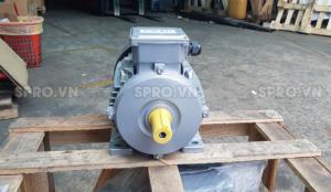 Địa chỉ mô tơ điện 3 pha chính hãng toàn quốc