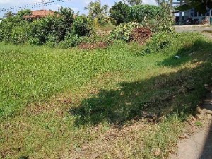 35×50 mặt tiền đường tỉnh lộ 786