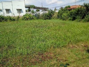 35×50 mặt tiền đường tỉnh lộ 786