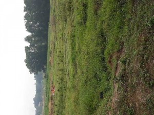 Bán đất thái hòa 16x37 dt 624m giá 2ty60