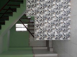 Nhà cấp 4 thu phố phước hải thái hòa đt
