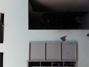 Bán nhà trọ giá công nhân 3x7 đt 21m rặn