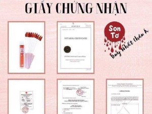 SON TƠ LỤA 4D HÀN QUỐC TẶNG CỌ ĐÁNH SON