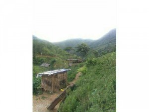 Cần bán gấp lô đất ruộng