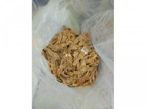 Măng rừng phục vụ tết
