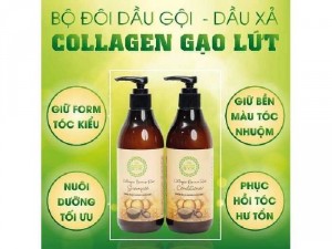 Dầu gội đầu đến từ nhãn hàng Edally