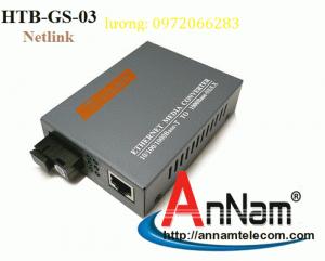 Bộ chuyển đổi 2 sợi Converter quang điện Netlink HTB-GS-03 loại 10/100/1000