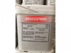 Bio B - Men Vi Sinh Xử Lý Đáy