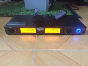 Micro không dây bãi