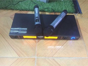 Micro không dây bãi