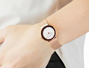 Đồng hồ nữ Skagen 358SRRD