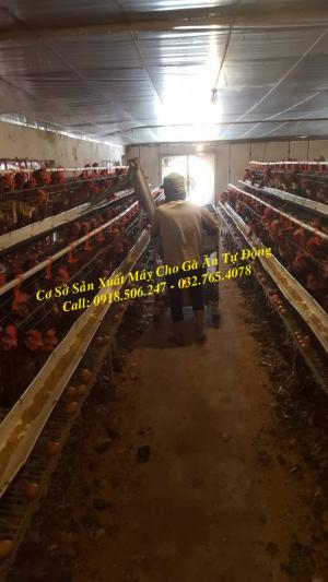Máy Cho Gà Ăn Tự Động