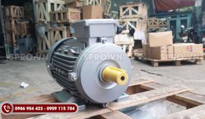 Mô tơ điện Enertech 3 pha công suất 3HP