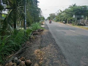 Đất Mặt Tiền Đường 887 Bến Tre