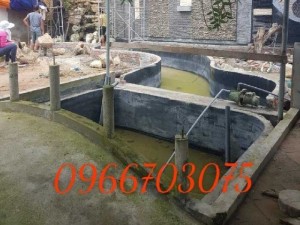 Hồ cá koi mini
