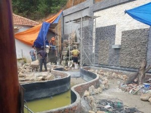 Hồ cá koi mini
