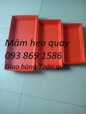 Thùng đựng heo quay, hộp đựng heo quay nhỏ vừa lớn